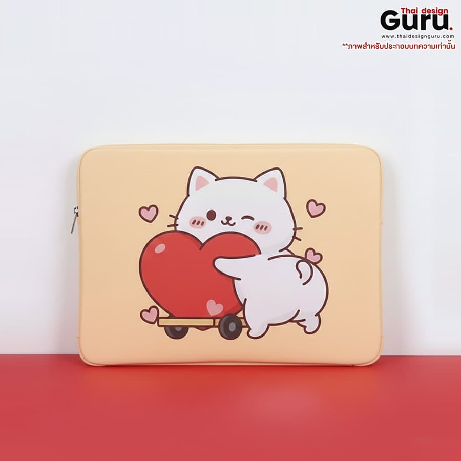 ซองผ้าซิปรูด