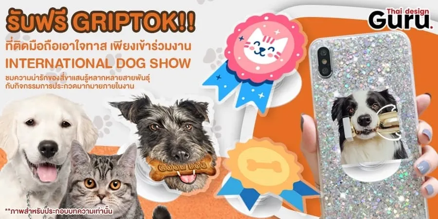 Griptok ไดคัท ราคา