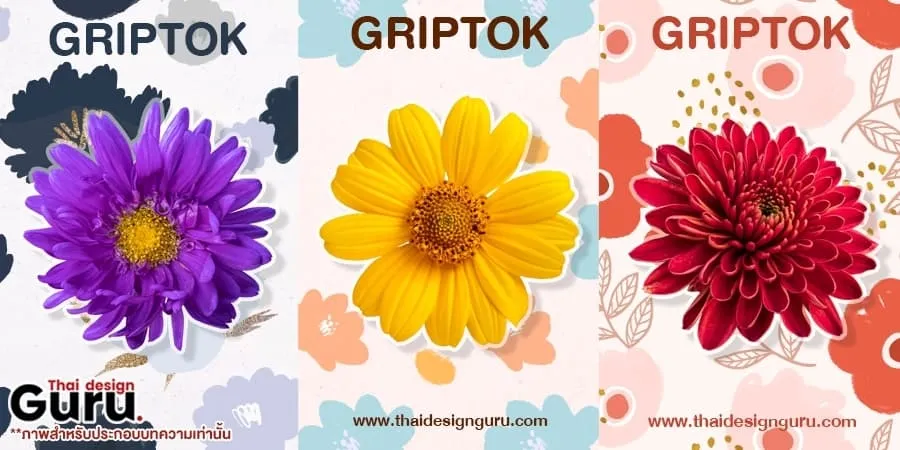 Griptok ไดคัท ราคา