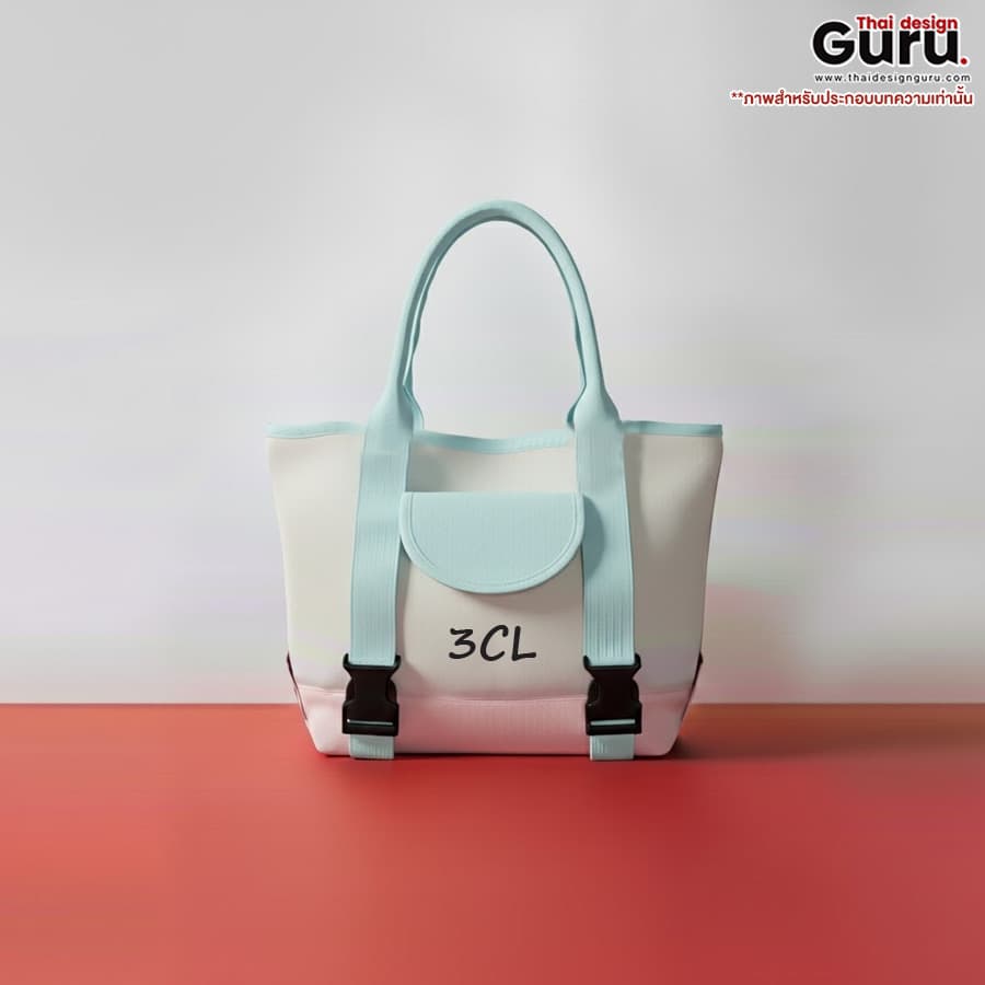 กระเป๋าแฟชั่นหูหิ้วผ้าแคนวาส กระเป๋าแฟชั่นหูหิ้ว